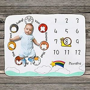 Baby monthly milestone blanket photography prop